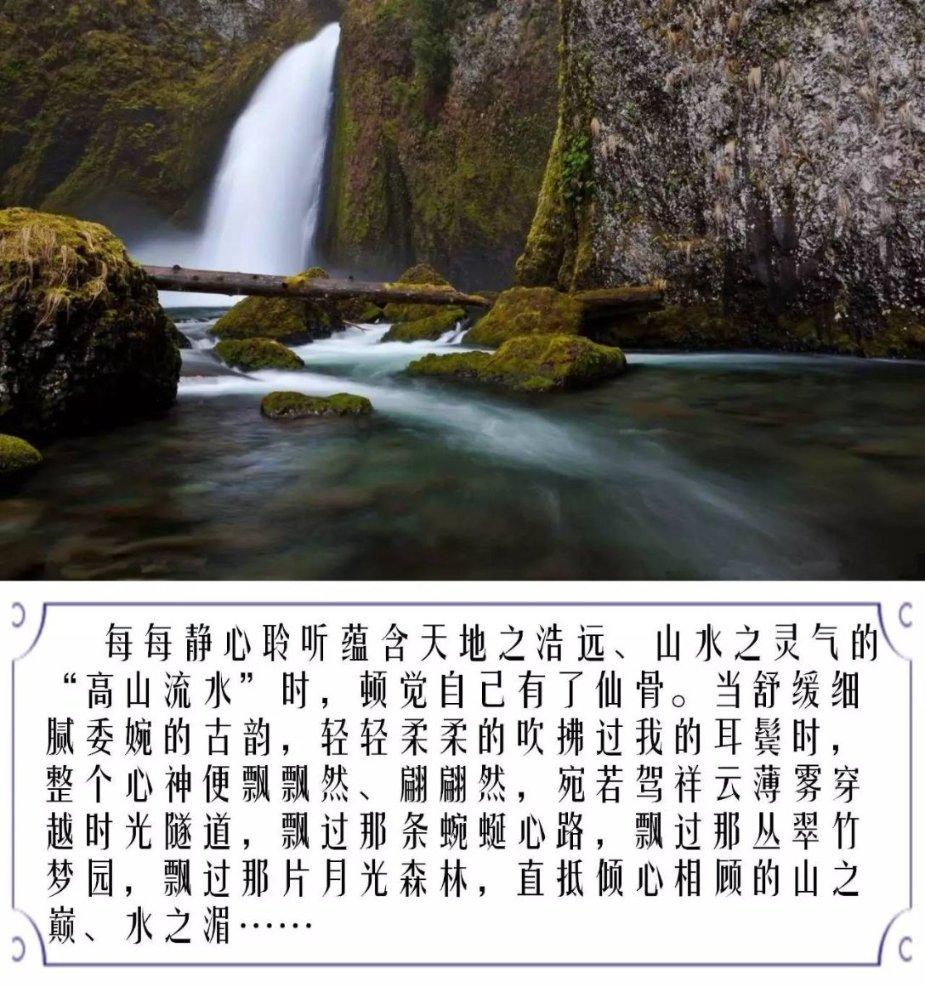 救援小袋熊